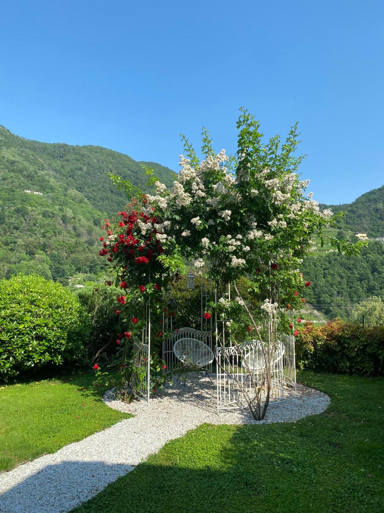 Adrara San Rocco Bed And Breakfast Casa Del Nonno المظهر الخارجي الصورة